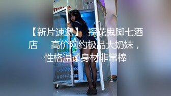 国模私房写真系列:洛风尘