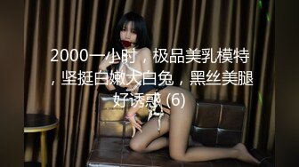 2000一小时，极品美乳模特，坚挺白嫩大白兔，黑丝美腿好诱惑 (6)