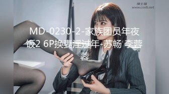 MD-0230-2-家族团员年夜饭2 6P换妻淫过年-苏畅 李蓉蓉