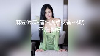 麻豆传媒-唐伯虎点秋香-林晓雪 张婉妍