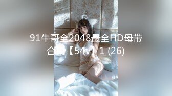 91牛哥全2048最全HD母带合集【54v】1 (26)