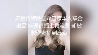 大黑JB插黑丝网状情趣内衣