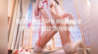 麻豆传媒最新国产AV佳作  MDX-0115负债下海的同学姐姐-苏清歌