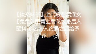 高颜值金发性感妹子，开档黑丝摸逼特写口交后入抱起来猛操