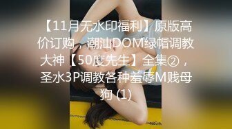 离异美女 小静静- 黑丝、性感、古典美的知性少妇，乖巧懂事，自慰风骚、撩得网友心甘情愿撸射！