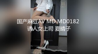 国产麻豆AV MD MD0182 诱人女上司 夏晴子