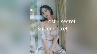 말할 수 없는 비밀 ost - secret 편곡 _ super secret