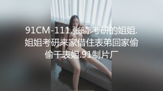 视频调教骚母狗