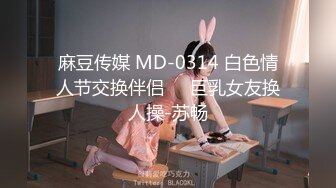 麻豆传媒 MD-0314 白色情人节交换伴侣❤️巨乳女友换人操-苏畅