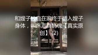 2022五月最新流出（新品首发）精品全景厕拍【电子厂系列-收尾作品】5肉感美女穿着蕾丝窄内裤显得屁股很性感适合后入耐操