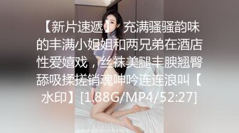 LJ极品地铁高清CD系列20部合集 (17)