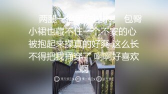 《云盘被盗?泄密》高气质美丽容颜极品白领御姐私下是个反差婊与炮友调教啪啪啪自拍流出骚的一批