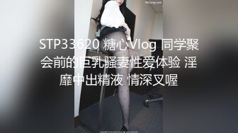 STP33620 糖心Vlog 同学聚会前的巨乳骚妻性爱体验 淫靡中出精液 情深叉喔