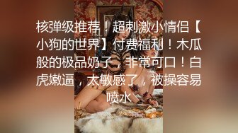 最新 重磅大尺度艾栗栗—在家等待的美少女3V啪啪玩弄口交写真视频资源