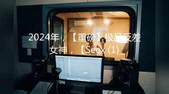 2024年，【重磅】极品反差女神，【Seex (1)