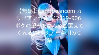 【無碼】Caribbeancom カリビアンコム 042919-906 ボクの望みをなんでも葉えてくれる従順ペット 菊川みつ葉