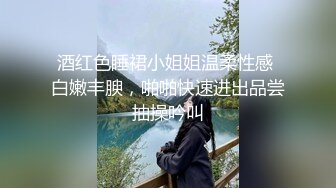 【与熟女的故事】大胸人妻口活给力，粉红氛围下激情交合，骚逼浪叫止不住！！