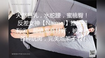 天然巨乳，水蛇腰，蜜桃臀！反差女神【Naimei】推特福利④，颜值高身材好，被金主各种玩肏，完美炮架子 (2)