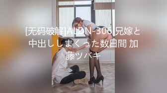 [无码破解]ALDN-306 兄嫁と中出ししまくった数日間 加藤ツバキ