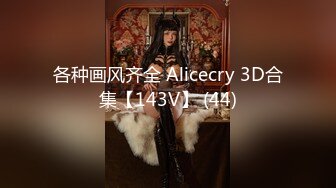 各种画风齐全 Alicecry 3D合集【143V】 (44)