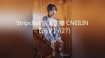 Stripchat 国人主播 CNEILIN 【35V】 (27)