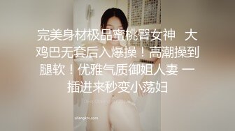 完美身材极品蜜桃臀女神✿大鸡巴无套后入爆操！高潮操到腿软！优雅气质御姐人妻 一插进来秒变小荡妇