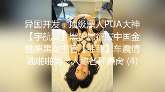 异国开发，顶级黑人PUA大神【宇航员】黑驴屌征服中国金融媚黑女主管【菲菲】车震情趣啪啪第一人称各种爆肏 (4)