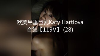 欧美吊垂巨乳Katy Hartlova合集【119V】 (28)