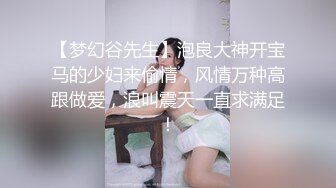 【梦幻谷先生】泡良大神开宝马的少妇来偷情，风情万种高跟做爱，浪叫震天一直求满足！