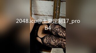 2048.icu@土豪定制17_prob4