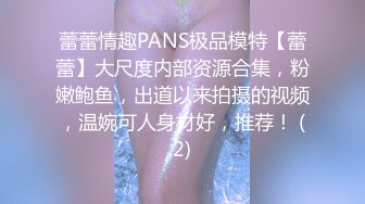 蕾蕾情趣PANS极品模特【蕾蕾】大尺度内部资源合集，粉嫩鲍鱼，出道以来拍摄的视频，温婉可人身材好，推荐！ (2)