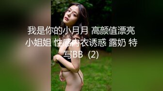 我是你的小月月 高颜值漂亮小姐姐 性感内衣诱惑 露奶 特写BB  (2)