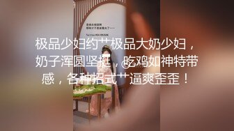 极品少妇约艹极品大奶少妇，奶子浑圆坚挺，吃鸡如神特带感，各种招式艹逼爽歪歪！