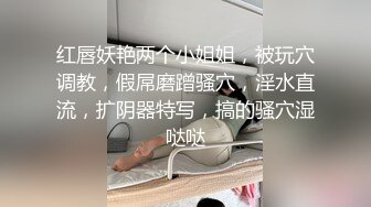 红唇妖艳两个小姐姐，被玩穴调教，假屌磨蹭骚穴，淫水直流，扩阴器特写，搞的骚穴湿哒哒