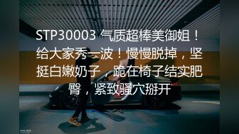 (麻豆傳媒)(mdx-0262)(20230429)豔遇末班列車-溫芮欣