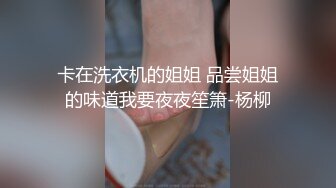 卡在洗衣机的姐姐 品尝姐姐的味道我要夜夜笙箫-杨柳