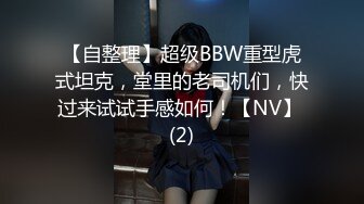 【自整理】超级BBW重型虎式坦克，堂里的老司机们，快过来试试手感如何！【NV】 (2)