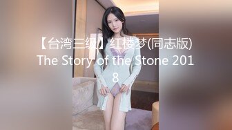 【台湾三级】红楼梦(同志版) The Story of the Stone 2018