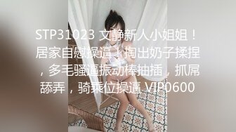 STP31023 文静新人小姐姐！居家自慰操逼！掏出奶子揉捏，多毛骚逼振动棒抽插，抓屌舔弄，骑乘位操逼 VIP0600