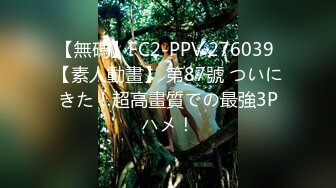 【無碼】FC2-PPV 276039 【素人動畫】 第87號 ついにきた！超高畫質での最強3Pハメ！