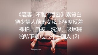 《騷妻✅不雅✅泄密》素質白領少婦人前淑女私下極度反差✅裸拍、自摸、洗澡、吸屌啪啪私下變成另外一個人 (2)