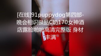 [在线]91puppydog第四部-晚会相识极品C奶170女神酒店露脸啪啪高清完整版 身材丰满