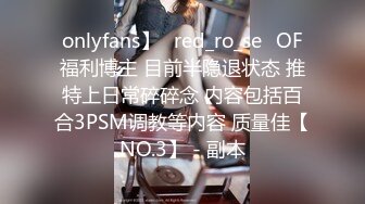 onlyfans】⭐red_ro_se⭐OF福利博主 目前半隐退状态 推特上日常碎碎念 内容包括百合3PSM调教等内容 质量佳【NO.3】 - 副本