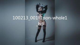 100213_001-1pon-whole1_hd