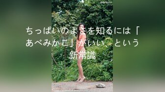 ちっぱいのよさを知るには「あべみかこ」がいい、という新常識