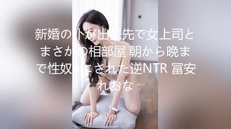 新婚の仆が出张先で女上司とまさかの相部屋 朝から晩まで性奴●にされた逆NTR 冨安れおな