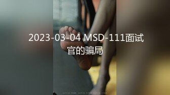  2023-03-04 MSD-111面试官的骗局