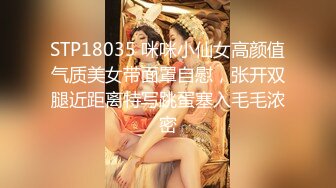 STP18035 咪咪小仙女高颜值气质美女带面罩自慰，张开双腿近距离特写跳蛋塞入毛毛浓密