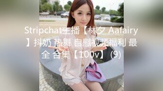 Stripchat主播【林夕 Aafairy】抖奶 热舞 自慰视频福利 最全 合集【100v】 (9)