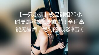 【一只小晴】极品御姐20小时高跟丝袜喷水啪啪！全程高能无尿点，绝对的视觉冲击 (3)